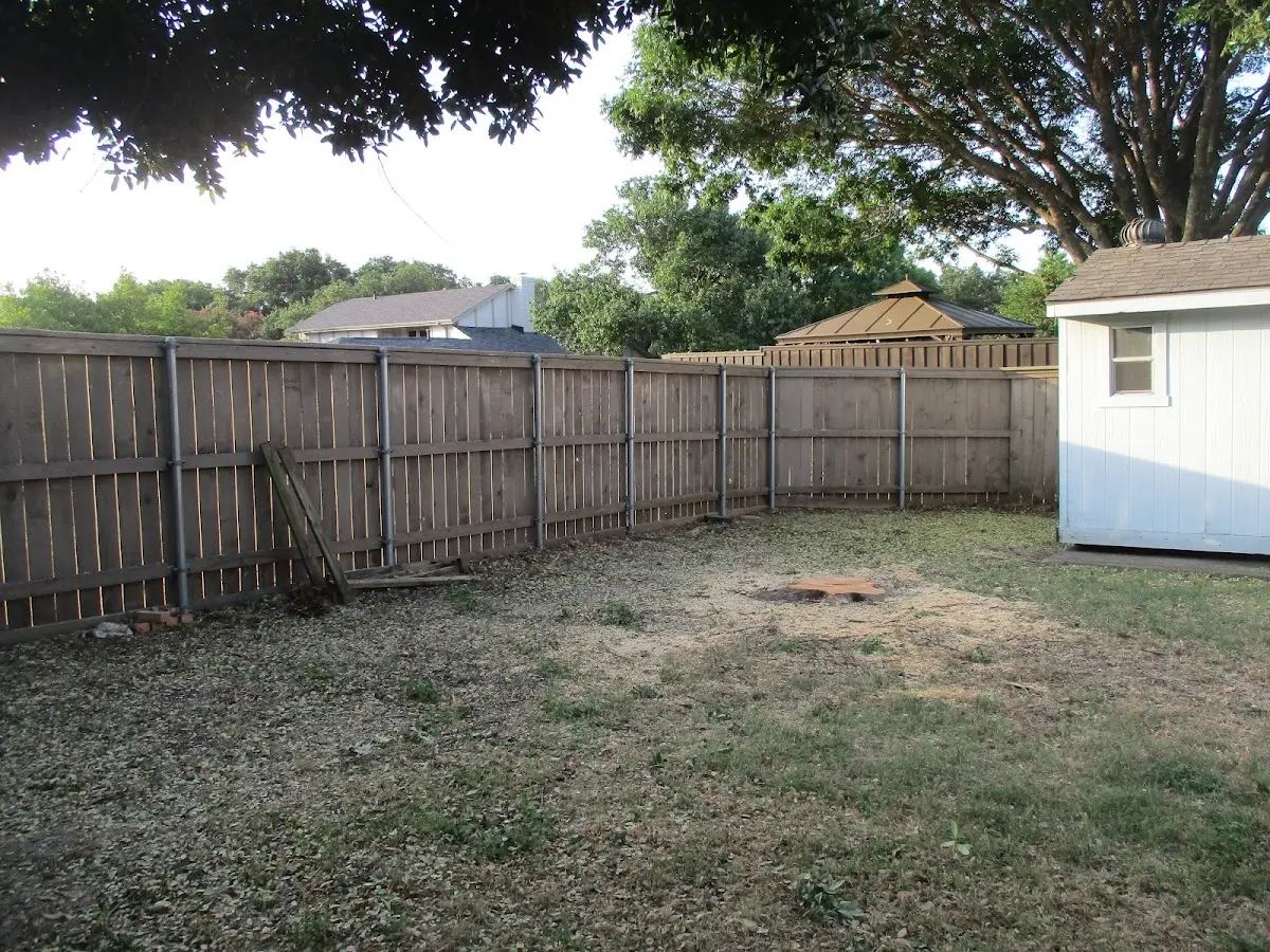 Cleared yard after professional tree removal in Grand Junction