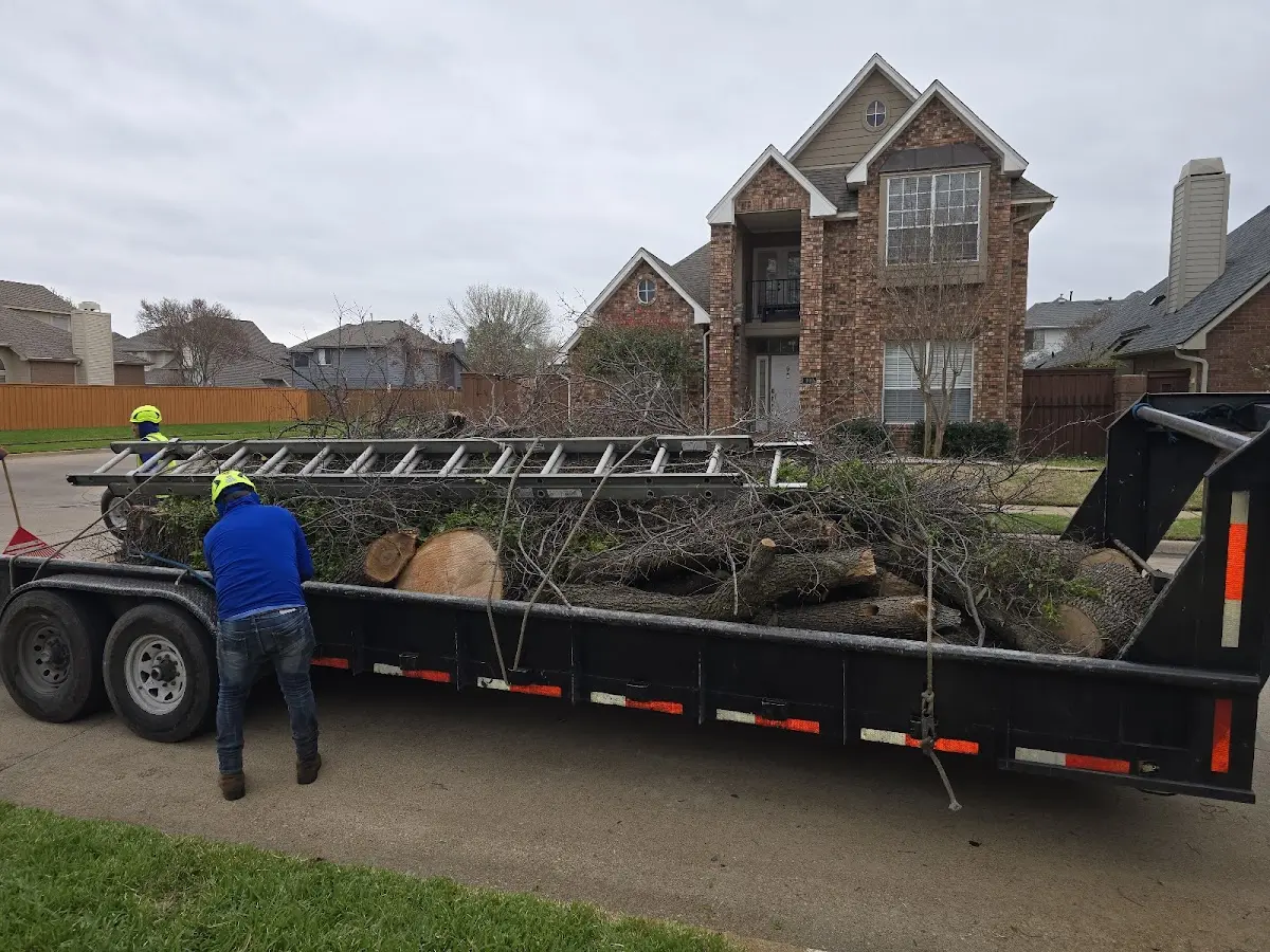 Expert Lot Clearing with proper safety equipment in Grand Junction